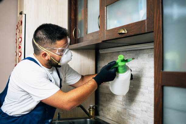Best Pest Control Treatment  in Pine Lawn, MO