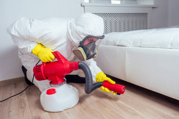 Best Wasp Removal Services  in Pine Lawn, MO