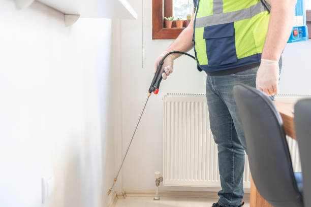 Best Emergency Pest Control  in Pine Lawn, MO