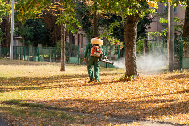 Best Insect Control  in Pine Lawn, MO