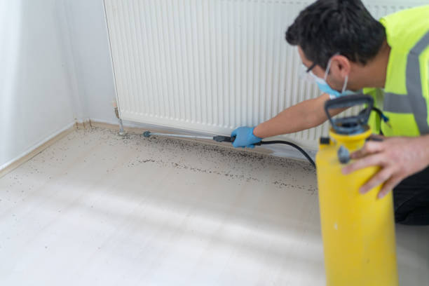 Best Best Pest Control Companies  in Pine Lawn, MO