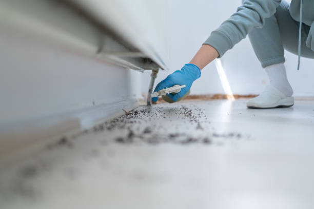 Best Commercial Pest Control Services  in Pine Lawn, MO