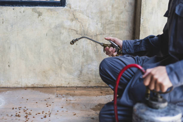 Best Pest Prevention Services  in Pine Lawn, MO