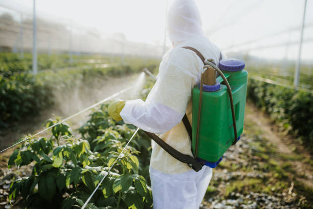Best Mosquito Control Services  in Pine Lawn, MO